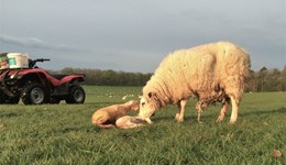 2024 nematodirus risk map launched